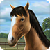 �ҵ���(My Horse)1.20.1��׿�ƽ��