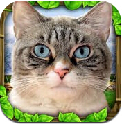 ����èģ����(Stray cat simulator)1 ��׿�����޸İ�