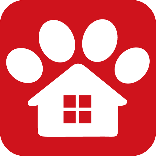 �εμ���2.2.4 ��׿���°�