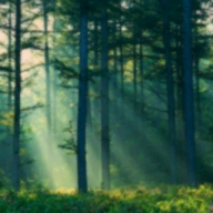 ��ʧ���˵�2.34  �����ƽ��