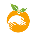 ����ҽ�����߰�1.2.15164.1 ��׿��