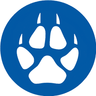 ������Ϸ����(���μ���)5.3.0 �������°�׿��Ѱ�