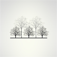 ����Ϸ1.0��׿��