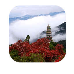 ������ԫ1.0.6 ��׿�ֻ���