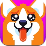 Ů���빷app(�罻����)1.0 ��׿��