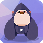 ����ֱ�����԰�1.0.1.3pc��