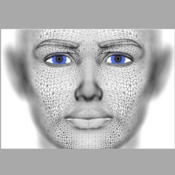 ����˹�沿ʶ��APP(findface app)1.4 �ֻ���