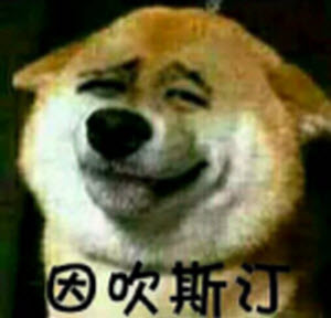 亦可赛艇吃枣药丸因吹丝挺表情å