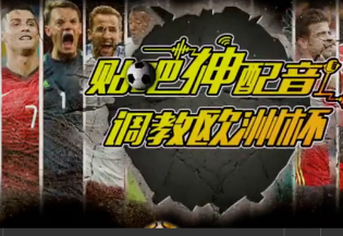 2016神配音调教欧洲杯大全