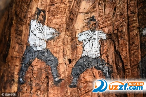 树洞惊现武功秘籍图片大全