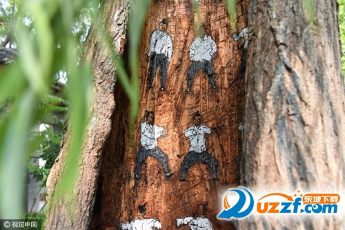 树洞惊现武功秘籍图片大全