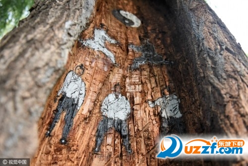 树洞惊现武功秘籍图片大全