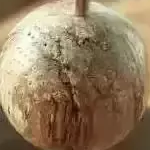 ���׳����ӱ����2016 ���¸���������