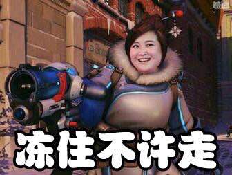 冻住不许走贾玲表情包