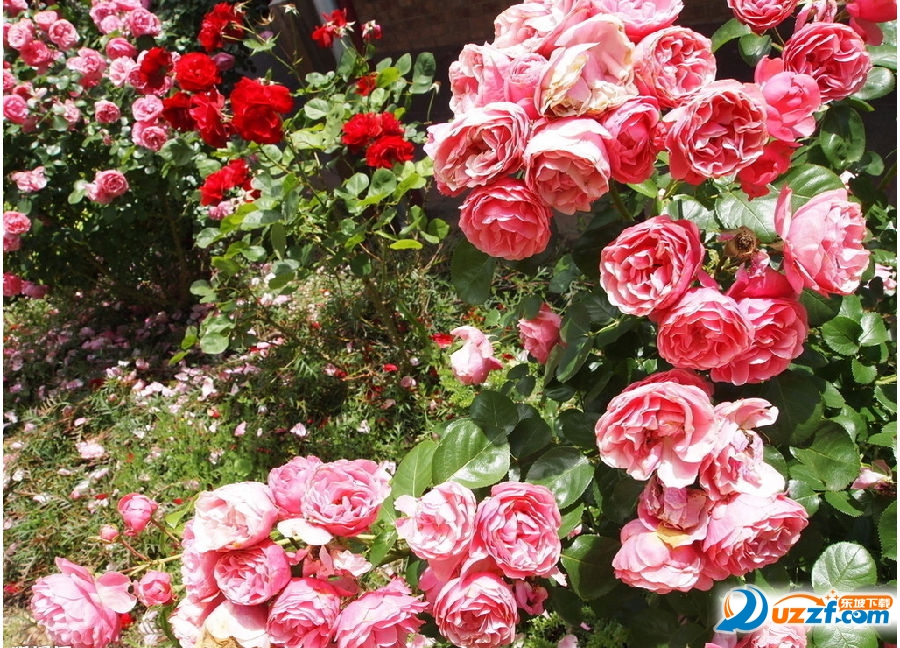 2016七夕情人节祝福语大全