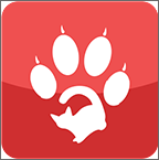 èצ�Һ����ֻ��ͻ���1.0 ������ʽ��