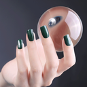 ����2017 app2.1.1 �������°�׿��