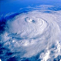 ̨������ͨapp2.2.6��׿���°�