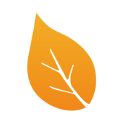 ��Ҷ�Ӱ�׿��1.0  �ٷ���ʽ��