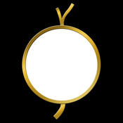 ���ҿ�Beauty1.0  ��׿�ֻ���