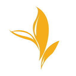 ��ɫ�����ֻ���2.7 ��׿���°�