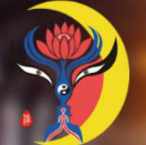 �ɳ����ֻ��ͻ���1.43 ��׿�������°�