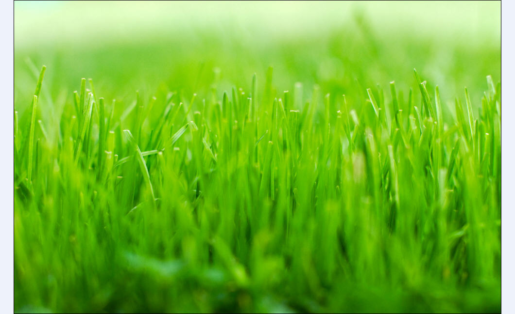 mint9高清宽屏壁纸32张1920x1200